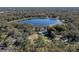 Lovely aerial view of lakeside home with lush, mature trees and peaceful natural surroundings at 36014 Poinsettia Ave, Fruitland Park, FL 34731