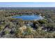 Aerial view of lakeside home with lush, mature trees, peaceful natural surroundings and property outline at 36014 Poinsettia Ave, Fruitland Park, FL 34731