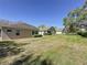 Backyard view showcasing the lawn and the rear of the house with trimmed shrubbery along the foundation at 3725 Westerham Dr, Clermont, FL 34711