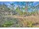 Image of the land including trees, plants, and grass with a gate in the background at 42141 Chinaberry St, Eustis, FL 32736