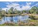 Scenic view of the pond, reflecting the sky and surrounded by lush greenery at 42141 Chinaberry St, Eustis, FL 32736