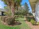 Lush backyard with manicured landscaping, showcasing a serene setting perfect for relaxation and outdoor enjoyment at 5144 Grove Mnr, Lady Lake, FL 32159