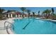 Community swimming pool featuring a lap lane and palm tree landscaping at 569 Bellflower Way, Clermont, FL 34715