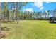 Lush green backyard featuring mature trees, providing privacy and a serene natural setting with plenty of room for outdoor activities at 6801 Silver Charm Ct, Leesburg, FL 34748