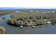 Overhead shot of lush, tree-lined waterfront properties with private docks and boat houses, showcasing natural beauty at 11215 Dead River Rd, Tavares, FL 32778
