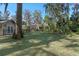 A spacious backyard with lush landscaping that include banana trees and a house at 11215 Dead River Rd, Tavares, FL 32778