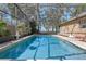 Screened-in pool with clear blue water surrounded by lush trees and mature landscaping at 11215 Dead River Rd, Tavares, FL 32778