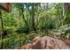 Secluded view of the waterway and foliage from dock, creating a nature lover's paradise at 11215 Dead River Rd, Tavares, FL 32778