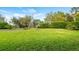 Large, well-maintained backyard with lush green grass and mature trees at 12127 Cypress Landing Ave, Clermont, FL 34711