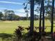 Gorgeous golf course view, framed by mature trees and vibrant greenery, offering a peaceful outlook at 1970 Farmington Ct, Clermont, FL 34711