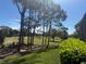 Scenic golf course view highlighting the lush green landscape and towering pine trees at 1970 Farmington Ct, Clermont, FL 34711