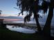 Scenic waterfront view at dusk with lush vegetation and Spanish moss-draped trees at 2225 Cypress Ct # 2C, Tavares, FL 32778