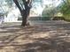 Spacious backyard with a large tree and wood fence at 2416 Briarwood Ln, Eustis, FL 32726