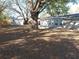 Large backyard with mature trees and storage shed at 2416 Briarwood Ln, Eustis, FL 32726