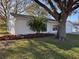 Charming white home, mature landscaping, manicured lawn, and tall shady trees at 25527 Oak Aly, Leesburg, FL 34748