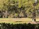 Scenic view of the community golf course with lush green grass and mature trees at 25527 Oak Aly, Leesburg, FL 34748