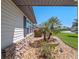 Charming home exterior with rock landscaping, palm trees, and flowering bushes adding curb appeal at 26636 Evert St, Leesburg, FL 34748