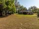 Expansive backyard view with lush green grass and mature trees, providing ample space at 36845 Taylor Mill Rd, Fruitland Park, FL 34731