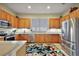 Well-lit kitchen featuring stainless steel appliances, wood cabinets, and a decorative area rug at 4818 Sawgrass Lake Cir, Leesburg, FL 34748