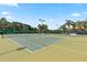 Well-maintained community tennis court with lighting, surrounded by lush trees for a serene playing environment at 5056 Harbour Dr, Oxford, FL 34484