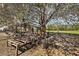 View of chicken coop, showing the outdoor run and shaded area, surrounded by mature trees at 6813 S Fork Ranch Dr, Clermont, FL 34714