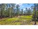 Scenic land featuring a grassy area with tall pine trees and tire tracks, perfect for outdoors adventures at 6813 S Fork Ranch Dr, Clermont, FL 34714