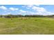 Aerial shot of cows grazing on the property's lush green pasture at 6813 S Fork Ranch Dr, Clermont, FL 34714