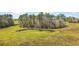 Scenic pond teeming with algae, surrounded by green grass and trees at 6813 S Fork Ranch Dr, Clermont, FL 34714