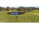 Expansive pasture featuring a serene pond and grazing cattle, perfect for rural living at 6813 S Fork Ranch Dr, Clermont, FL 34714