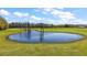 Picturesque pond with lush green surroundings, reflecting a serene and natural landscape at 6813 S Fork Ranch Dr, Clermont, FL 34714