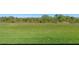 Large well maintained grassy backyard, perfect for outdoor activities and relaxation at 1017 Green Gate Blvd, Groveland, FL 34736