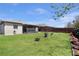 Grassy backyard featuring lush landscaping with trees, plants, and a dark wood privacy fence at 2376 Bexley Dr, Tavares, FL 32778