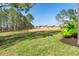 Expansive backyard with verdant grass and privacy wall, offering a serene outdoor space at 306 Orista Dr, Davenport, FL 33897