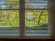 Window view of lush foliage and greenery at 351 Groveland Rd, Mount Dora, FL 32757