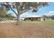 A picturesque backyard features mature trees providing shade and a chain-link fence at 3909 Cr 532A, Bushnell, FL 33513