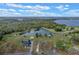 Wide aerial view showing the lake and verdant surroundings of the home's location at 7729 Lake Andrea Cir, Mount Dora, FL 32757