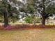 Charming front yard with blooming azaleas and mature shade trees at 9113 Sw 91St Court Rd, Ocala, FL 34481