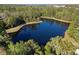 Scenic aerial view of a tranquil pond surrounded by lush greenery and mature trees at 114 Cherry Creek Cir, Winter Springs, FL 32708