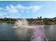 Picturesque pond with fountain feature, adding a serene touch to the surrounding community at 17024 Goldcrest Loop, Clermont, FL 34714