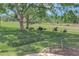 Backyard view showcasing wildlife grazing on the lawn, providing a tranquil and natural setting at 20751 Queen Alexandra Dr, Leesburg, FL 34748