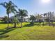 Expansive backyard with lush green grass and mature palm trees; perfect for outdoor activities at 27023 Old English Ct, Leesburg, FL 34748