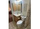 Compact bathroom with vanity, toilet, and shower with curtain at 3183 Hatch Ln, The Villages, FL 32162