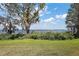 Scenic lake view with green lawn, trees, and natural landscaping under a blue sky with fluffy clouds at 603 N Lakeshore Blvd, Howey In The Hills, FL 34737