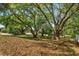 Large yard with beautiful trees on this lovely property at 12815 Katherine Cir, Clermont, FL 34711