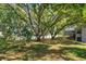 Sprawling backyard featuring mature trees and privacy fence at 12815 Katherine Cir, Clermont, FL 34711