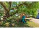 Lush backyard featuring a play set under a mature tree with a swing and bench at 12815 Katherine Cir, Clermont, FL 34711