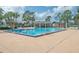 Community swimming pool featuring accessible entry and sun loungers in a landscaped setting at 13131 Sandy Pine Ln, Clermont, FL 34711