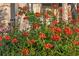 Up close image of lush landscaping surrounding the home's entry, showcasing vibrant flowers and greenery at 13131 Sandy Pine Ln, Clermont, FL 34711