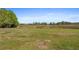 Expansive grassy lot with trees and open space, great for recreation at 21046 County Road 33, Groveland, FL 34736