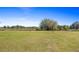 Vast acreage with lush grass, perfect for outdoor activities and relaxation at 21046 County Road 33, Groveland, FL 34736